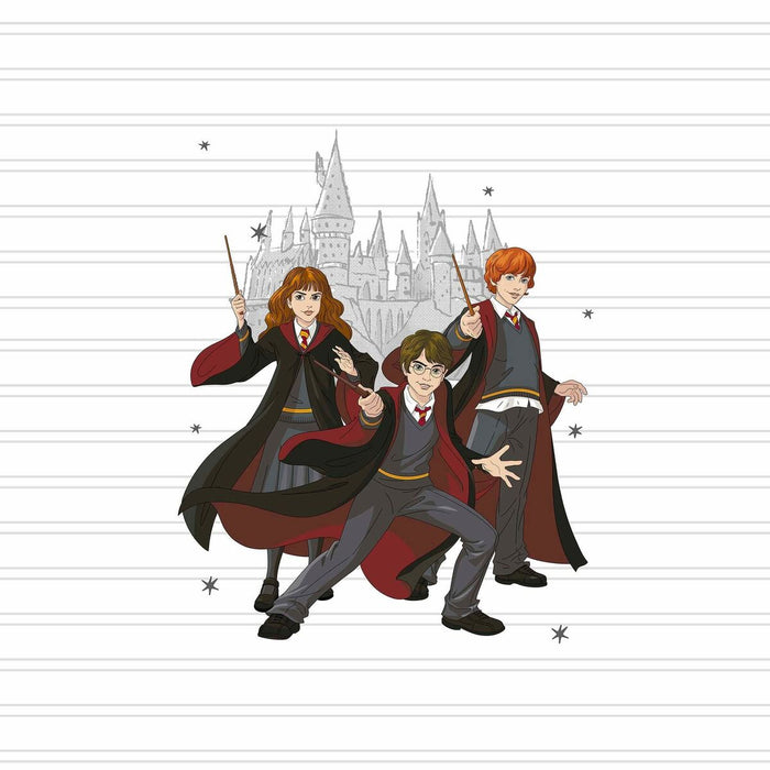 Husă de pilotă Harry Potter Team 155 x 220 cm Pat 90