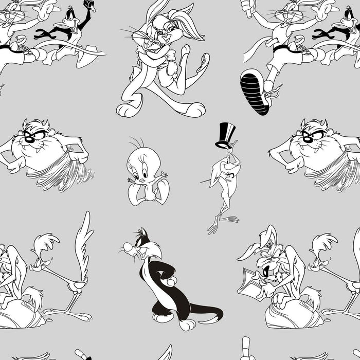 Husă de pilotă Looney Tunes Looney BN Alb black 220 x 220 cm