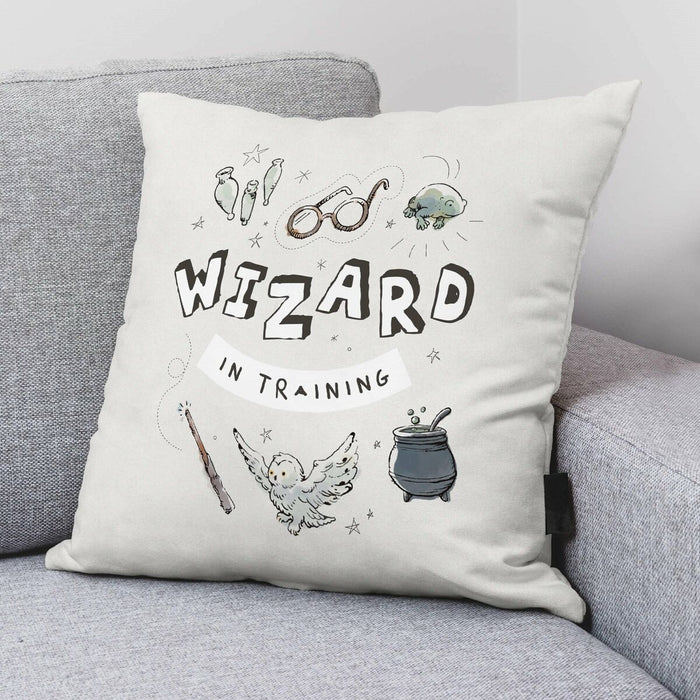 Husă de pernă de canapea Harry Potter Wizard Gri deschis 45 x 45 cm