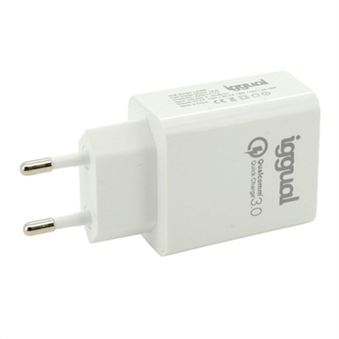 Încărcător de Perete iggual IGG317174