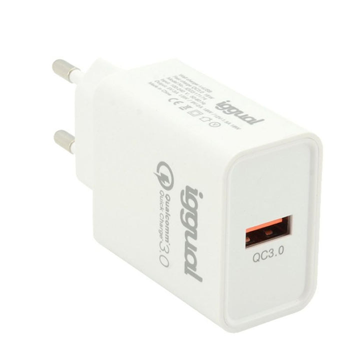 Încărcător de Perete iggual IGG317174