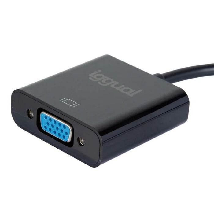 Adaptor DisplayPort la VGA iggual IGG319062