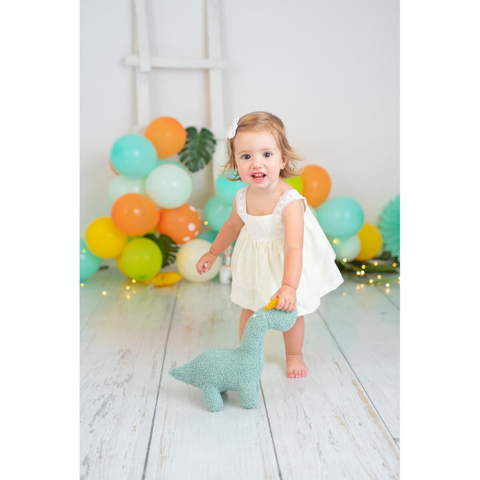 Jucărie de Pluș Crochetts Bebe Verde Dinozaur 30 x 24 x 10 cm