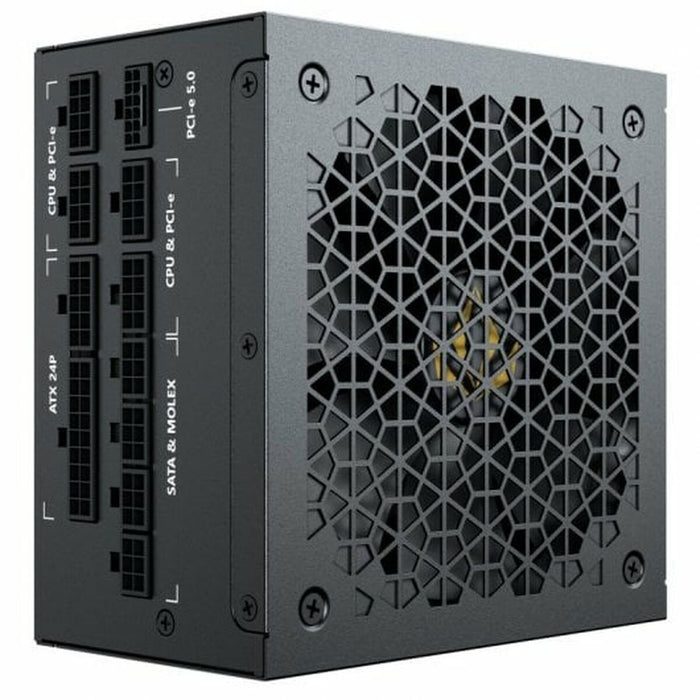 Sursă de Alimentare Forgeon Bolt PSU Modular 1000 W 80 Plus Gold