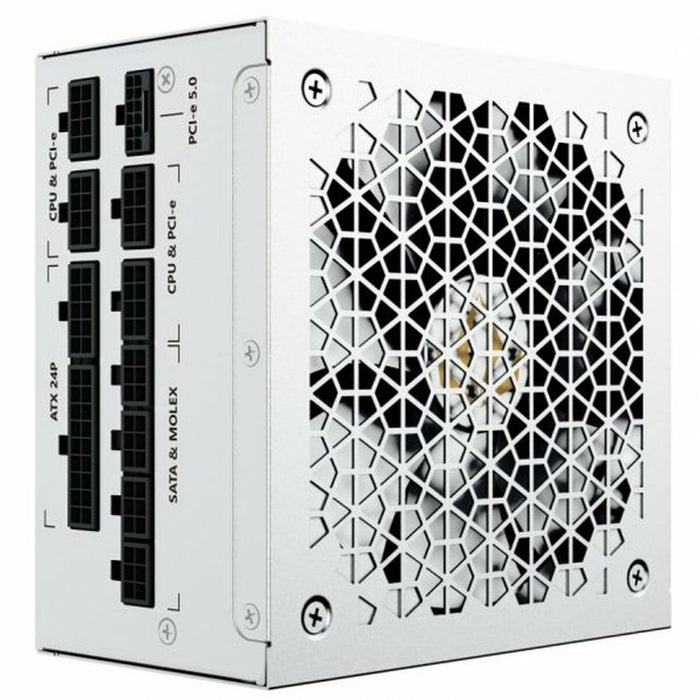 Sursă de Alimentare Forgeon Bolt 1000 Modular 1000 W 80 Plus Gold