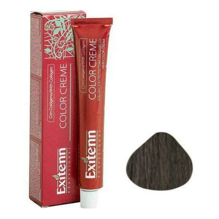Vopsea Permanentă Color Creme Exitenn Color Creme Nº 8,1 Light Ash Blonde (60 ml)