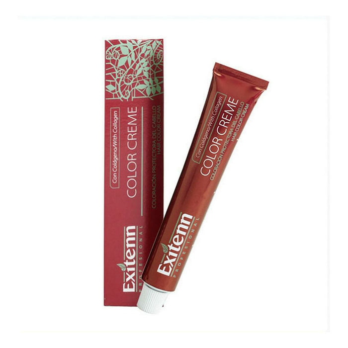 Vopsea Permanentă Color Creme Exitenn Nº 666 Red Ruby (60 ml)