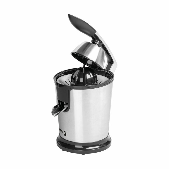 Storcător Electric FAGOR FGE618G Gri 300 W