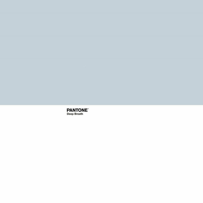 Husă de pilotă Pantone Deep Breathe Pat 135 220 x 220 cm