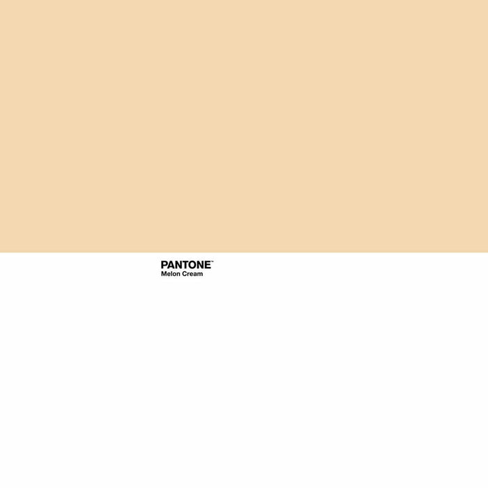 Husă de pilotă Pantone Melon Cream Pat 135 220 x 220 cm