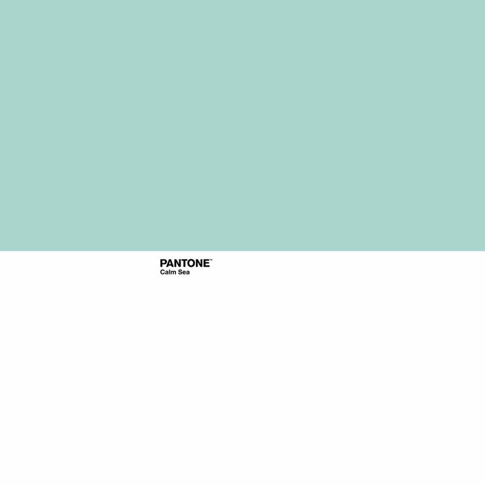 Foaie de sus Pantone Calm Sea 210 x 270 cm (Pat 135)