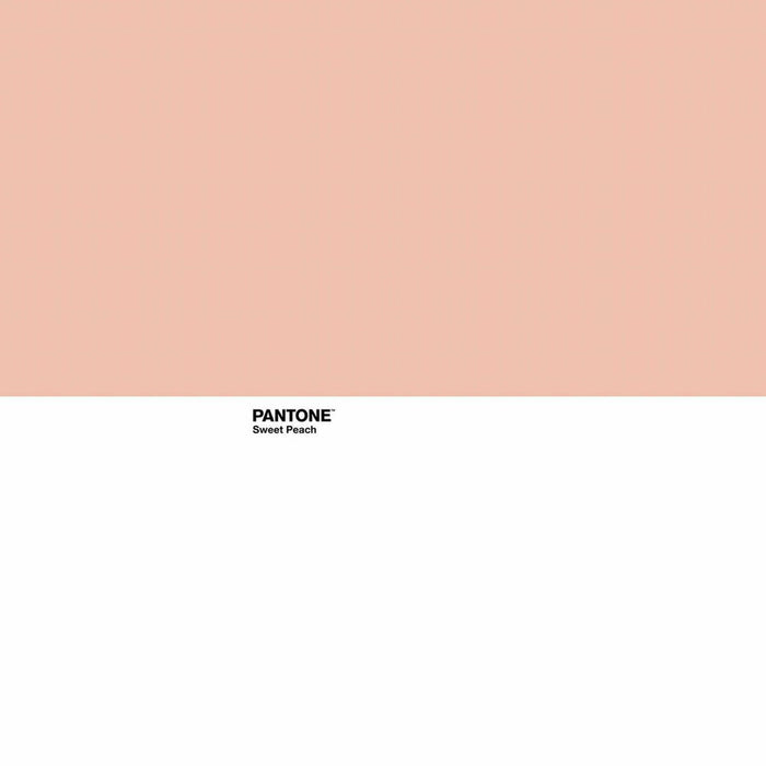 Husă de pilotă Pantone Sweet Peach Pat 150 240 x 220 cm
