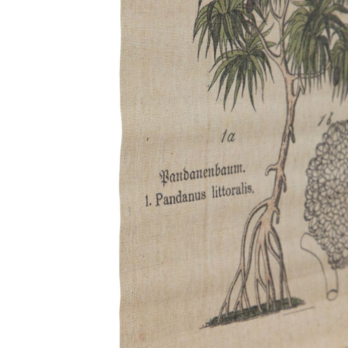 Foaie 50 x 2 x 70 cm Palmier