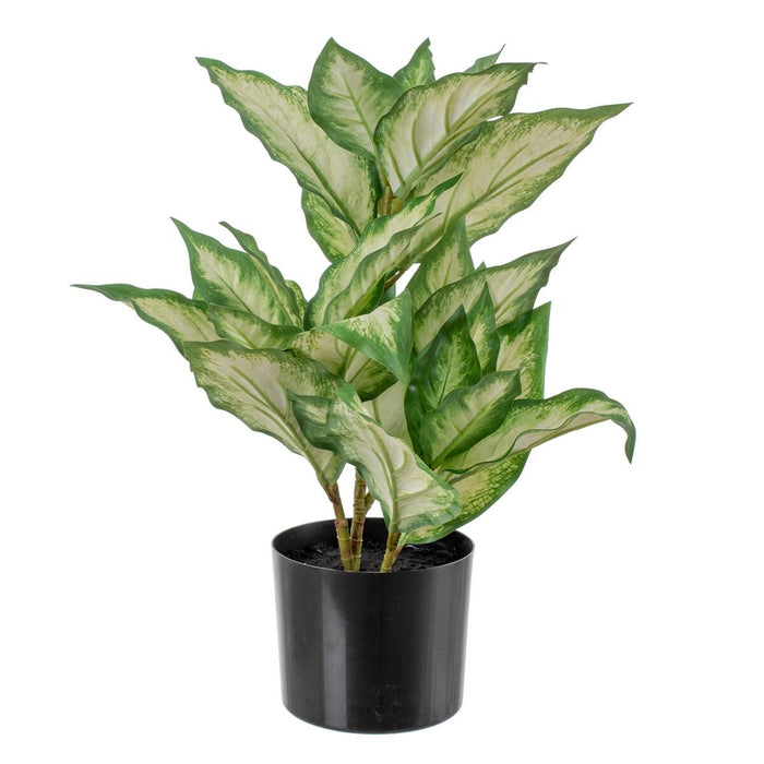 Plantă decorativă Polietilenă PEVA Dieffenbachia 42 x 42 x 52 cm