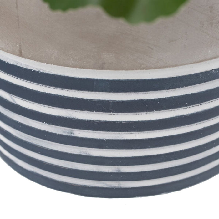 Plantă decorativă Цимент PEVA Frunze 11,5 x 11,5 x 39 cm