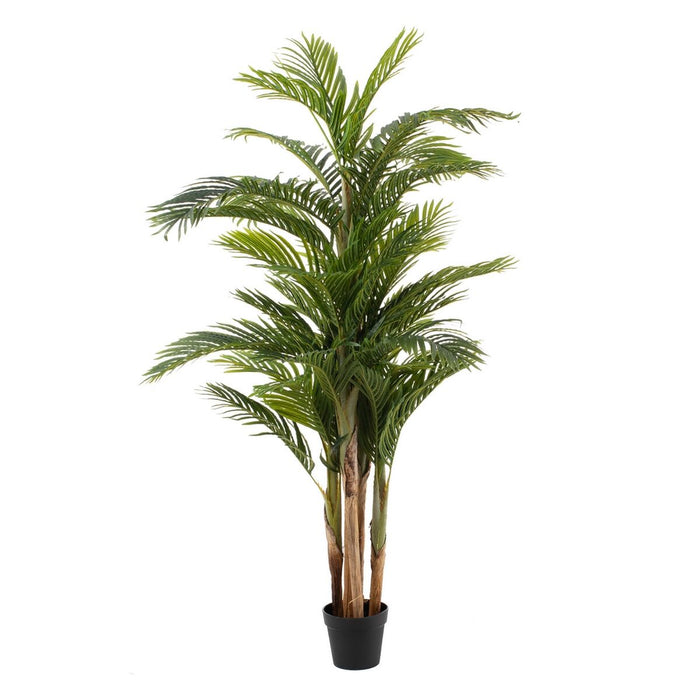 Plantă decorativă Polietilenă Areca 189 cm