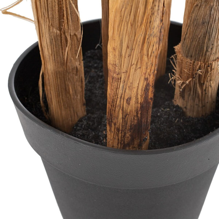 Plantă decorativă Polietilenă Areca 189 cm