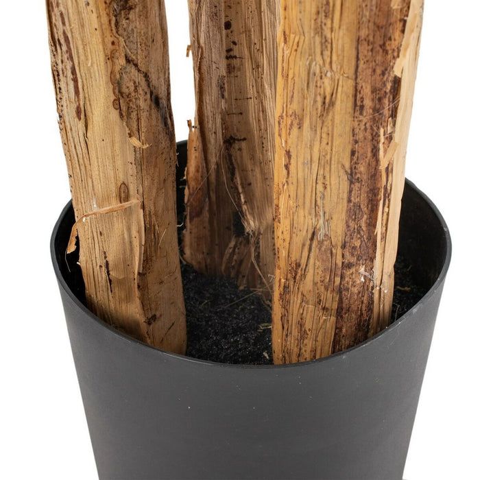 Plantă decorativă Polietilenă Banană 93 x 90 x 190 cm