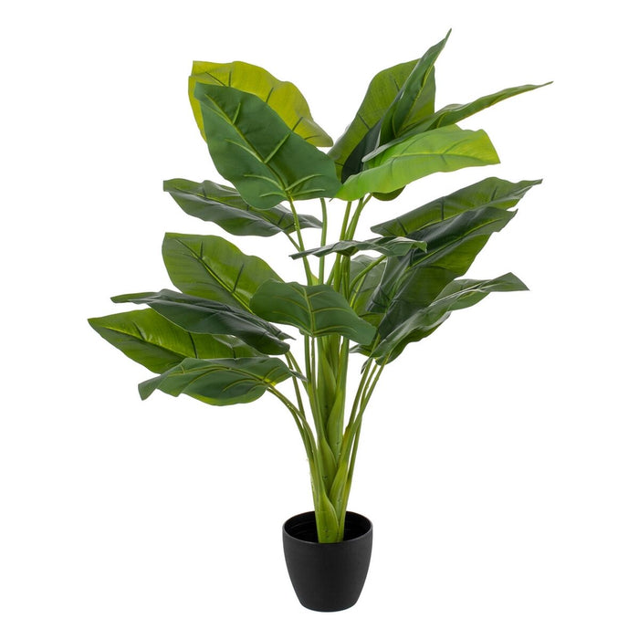 Plantă decorativă Verde 95 cm Crin Arum