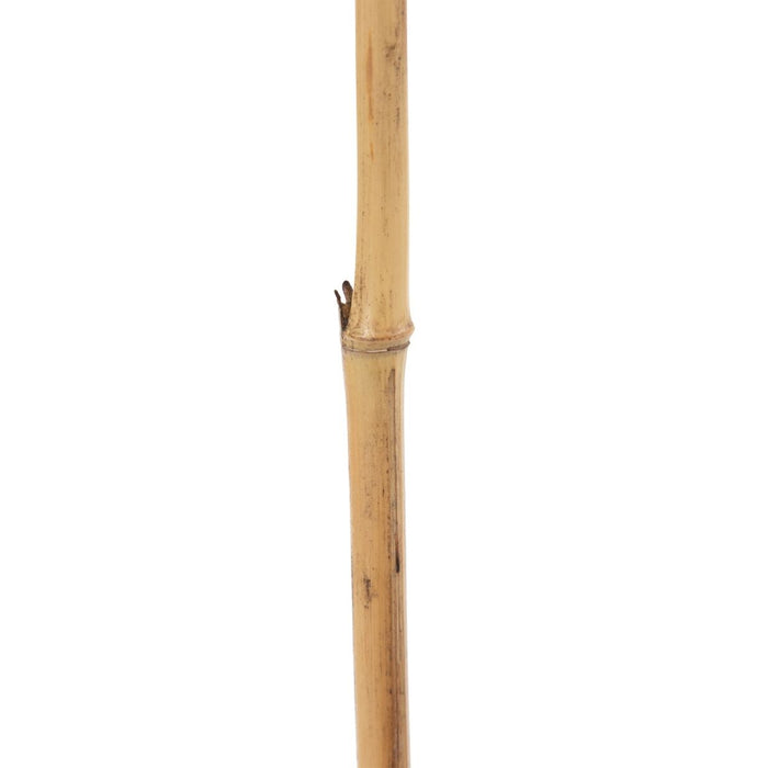 Ramură Bej Floare 8 x 8 x 156 cm