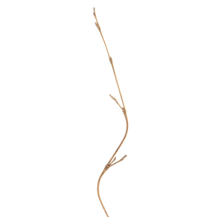 Ramură Crem 5 x 0,5 x 190 cm