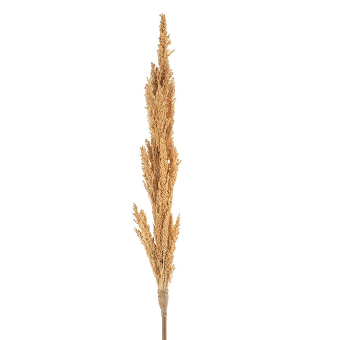 Ramură Crem 7 x 7 x 190 cm