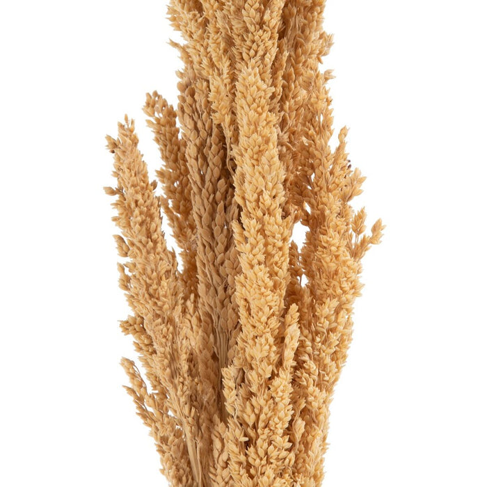 Ramură Crem 7 x 7 x 190 cm