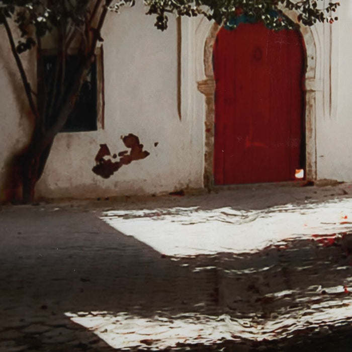 Pânză Uşă 80 x 3,6 x 120 cm