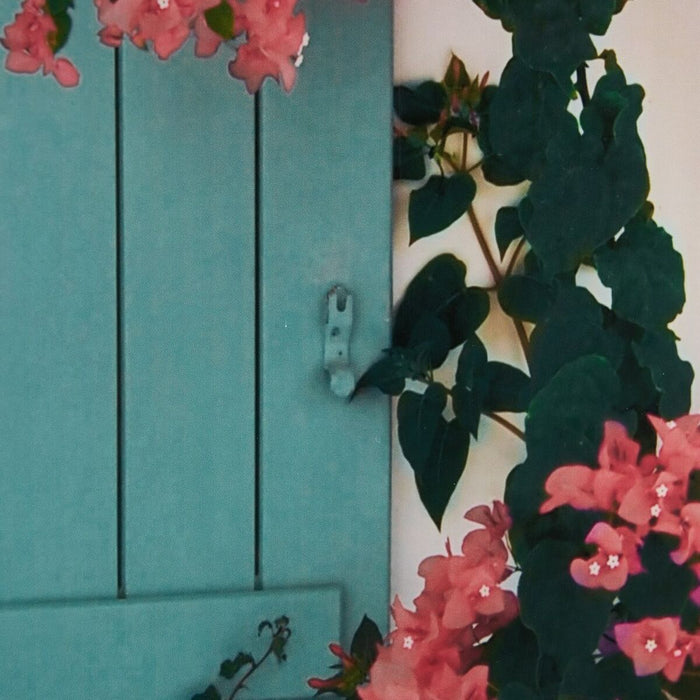 Pânză Fereastră 80 x 3,6 x 120 cm