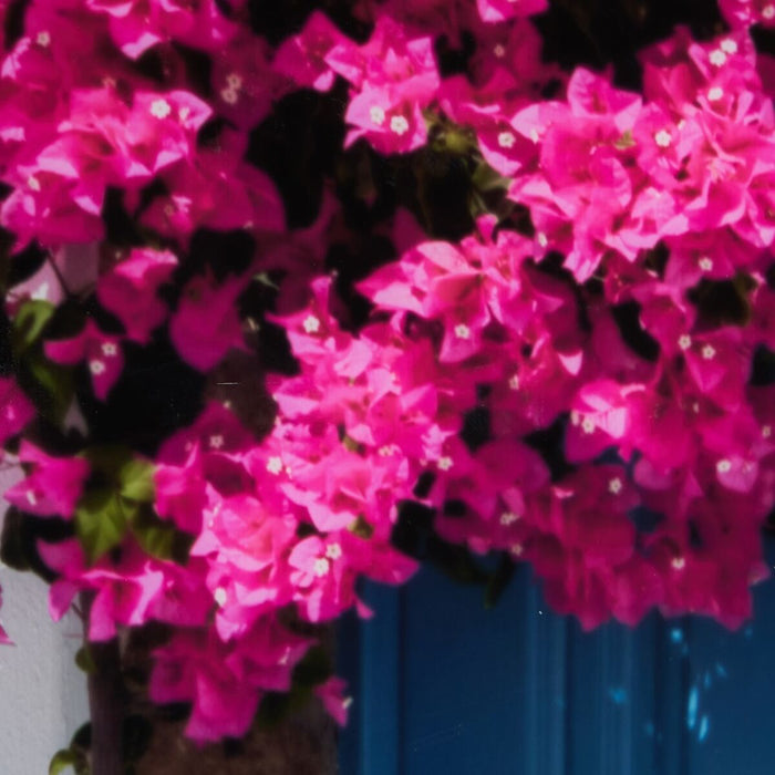 Pânză Uşă 80 x 3,6 x 120 cm