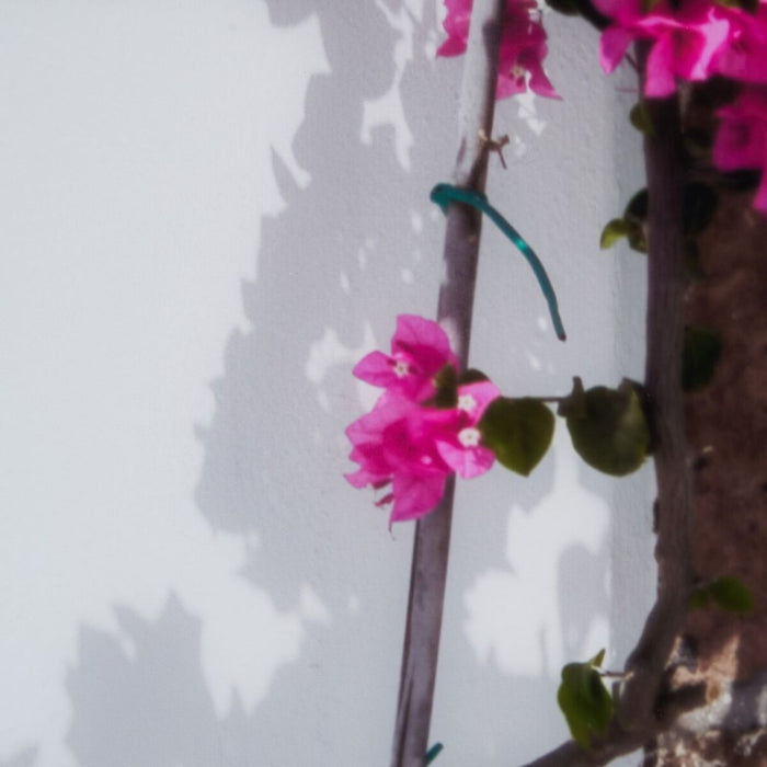 Pânză Uşă 80 x 3,6 x 120 cm