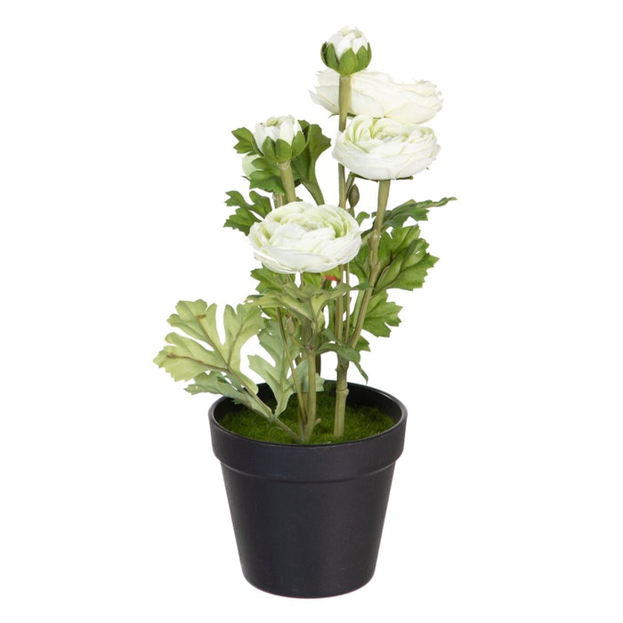 Plantă decorativă Poliester Polietilenă Fier Floare 12,5 x 12,5 x 37 cm
