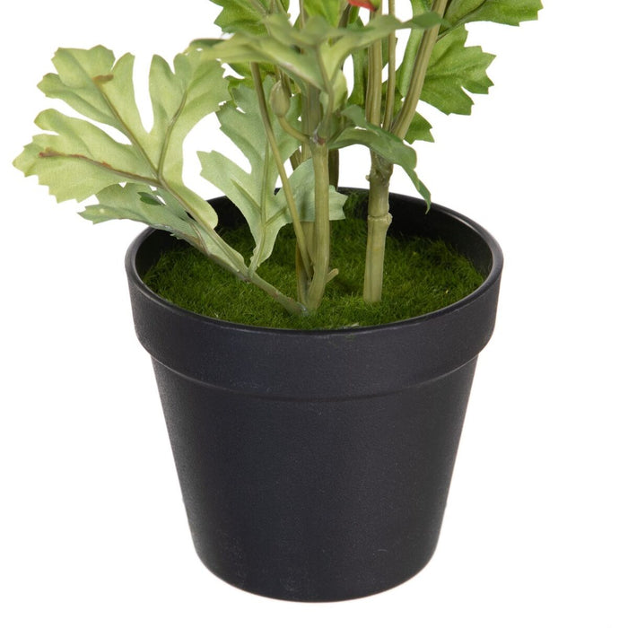 Plantă decorativă Poliester Polietilenă Fier Floare 12,5 x 12,5 x 37 cm