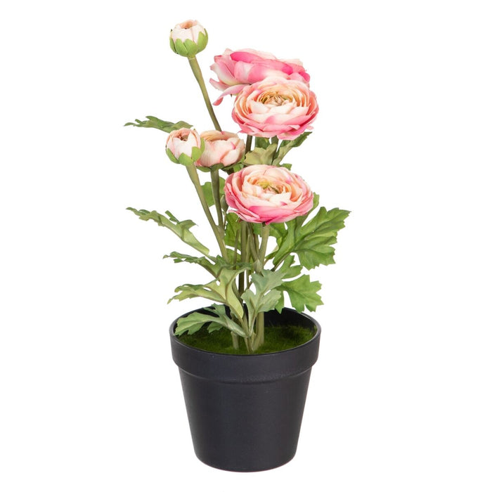 Plantă decorativă Poliester Polietilenă Fier Floare 12,5 x 12,5 x 37 cm