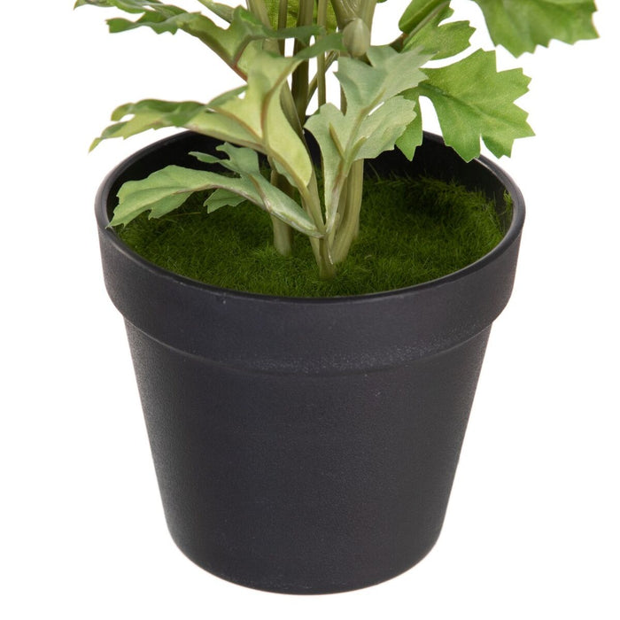 Plantă decorativă Poliester Polietilenă Fier Floare 12,5 x 12,5 x 37 cm
