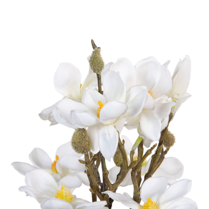 Buchet Alb Verde 37 x 20 x 41 cm Magnolia