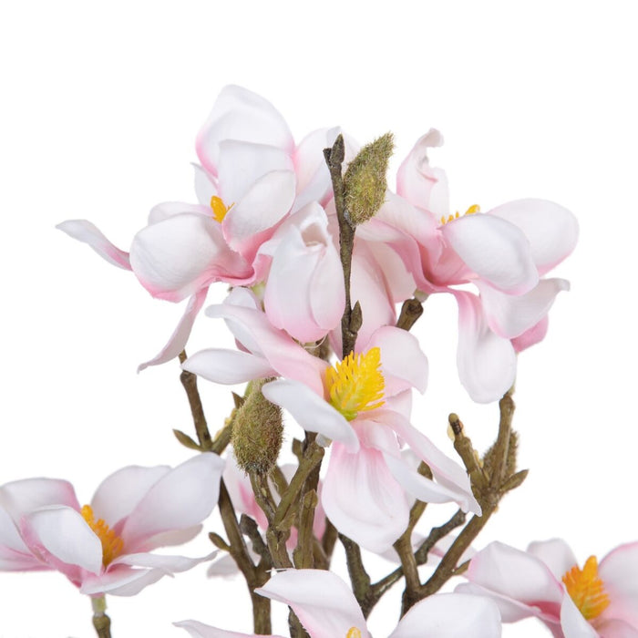 Buchet Verde Roz 37 x 20 x 41 cm Magnolia