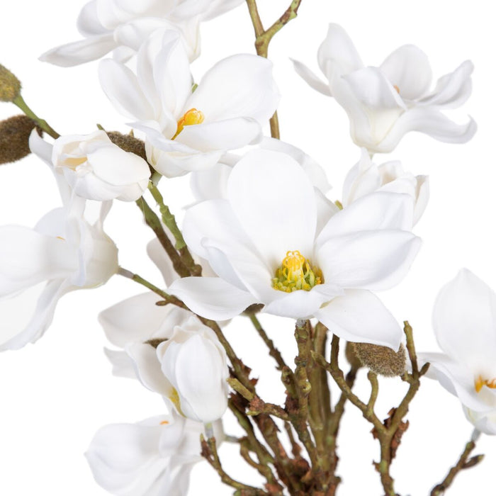 Plantă decorativă Poliester Polietilenă Fier 30 x 30 x 60 cm Magnolia