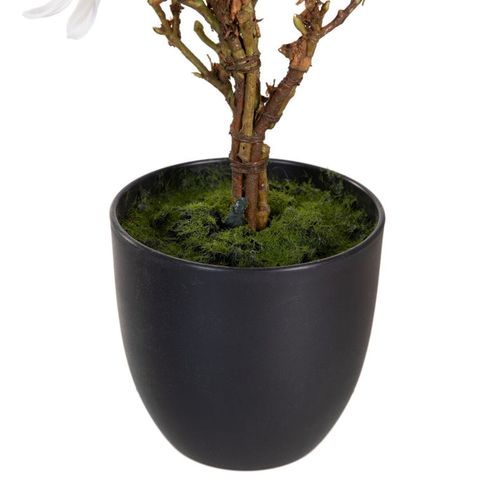 Plantă decorativă Poliester Polietilenă Fier 30 x 30 x 60 cm Magnolia