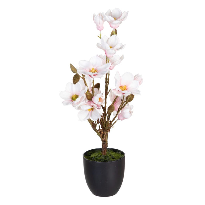 Plantă decorativă Poliester Polietilenă Fier 30 x 30 x 60 cm Magnolia