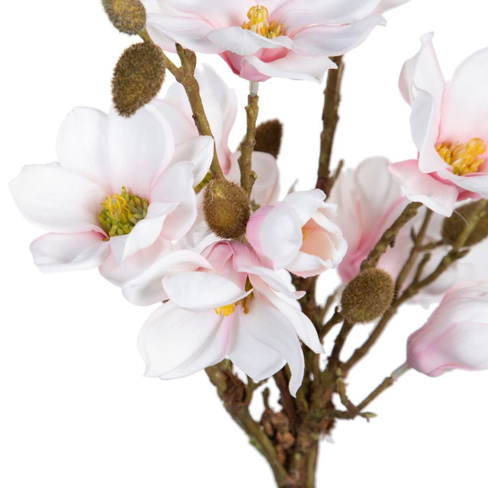 Plantă decorativă Poliester Polietilenă Fier 30 x 30 x 60 cm Magnolia