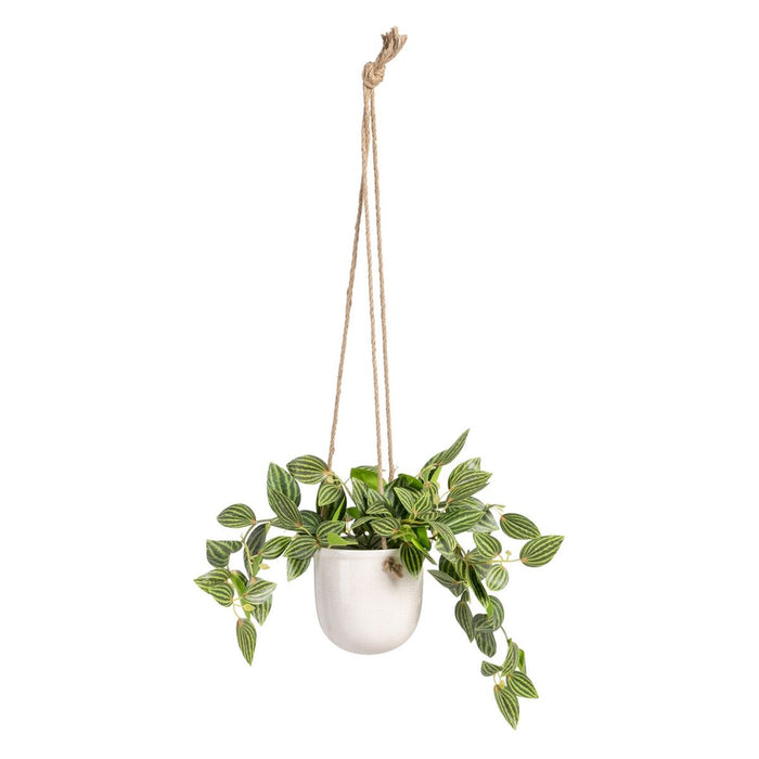 Plantă decorativă 33 x 33 x 24 cm Alb Verde PVC