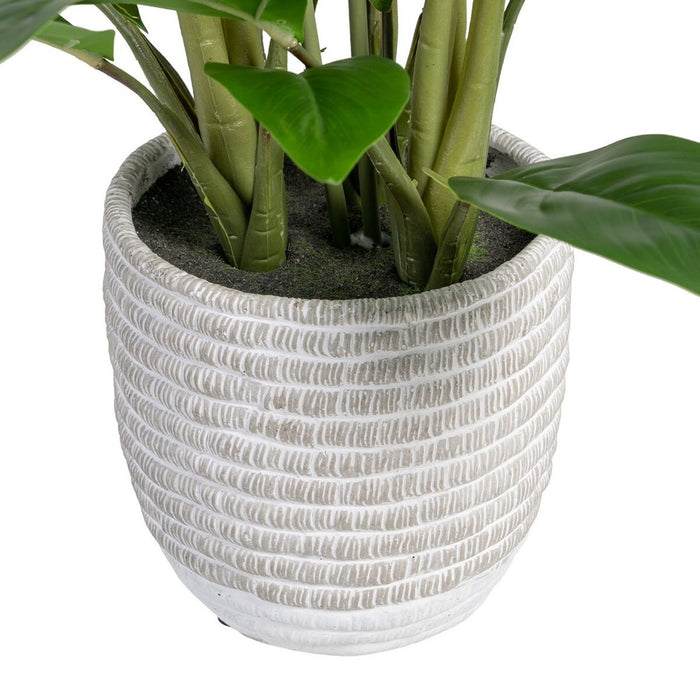 Plantă decorativă 40 x 41 x 48 cm Verde PVC