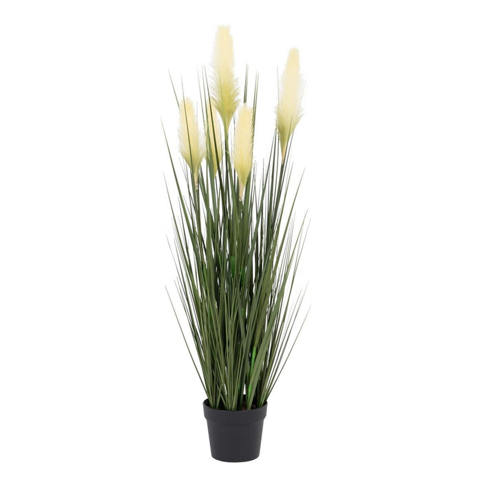 Plantă decorativă 45 x 37 x 100 cm Verde Crem PVC