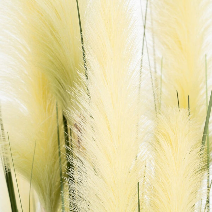 Plantă decorativă 57 x 53 x 150 cm Verde Crem PVC