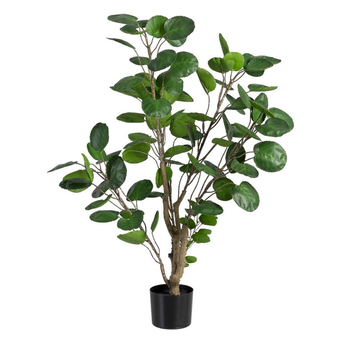 Plantă decorativă 80 x 77 x 113 cm Verde PVC Aralia