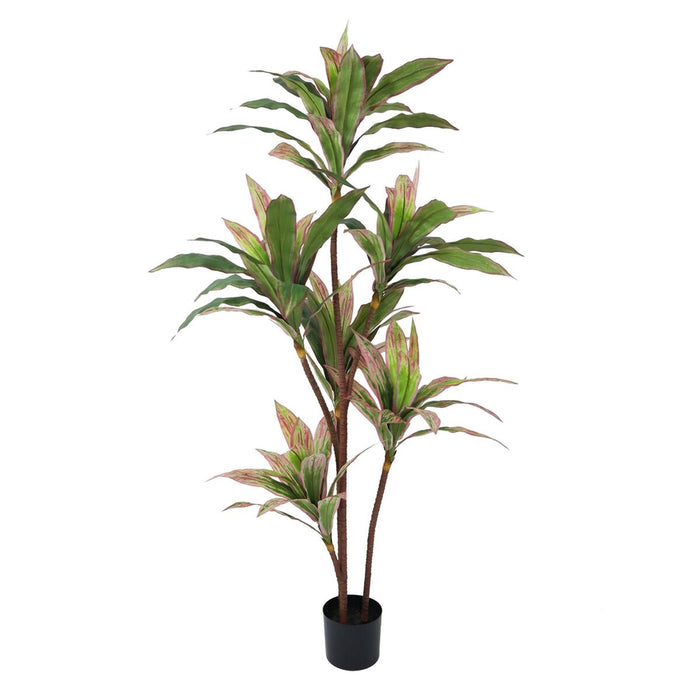 Plantă decorativă 160 cm Dracaena Verde
