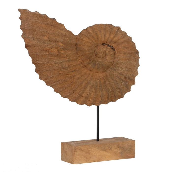 Sculptură Scoică Bej 49,5 x 9 x 53,5 cm