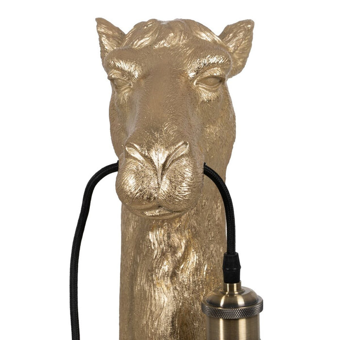 Lampă de perete Auriu* Rășină A 12,5 x 26 x 50 cm