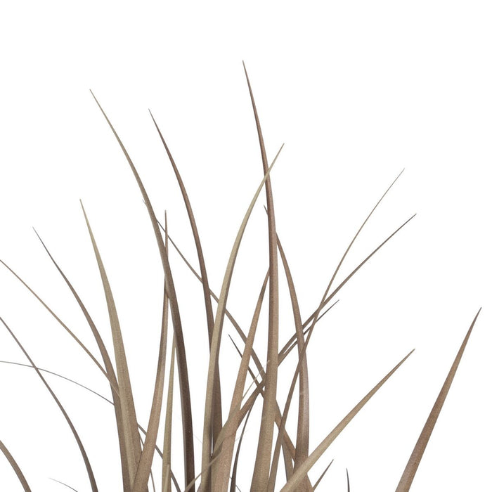 Plantă decorativă PVC Цимент Țesătură 91 cm